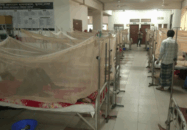 ডেঙ্গুতে আরো ৩ মৃত্যু, হাসপাতালে ৫৮০