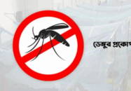 ডেঙ্গুতে আরও ২ জনের মৃত্যু, হাসপাতালে ভর্তি ৩৬৪