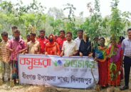 বীরগঞ্জে ক্ষুদ্র নৃ-গোষ্ঠীর মাঝে গাছের  চারা বিতরণ করেছে বসুন্ধরা শুভসংঘ