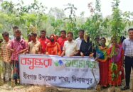 বীরগঞ্জে ক্ষুদ্র নৃ-গোষ্ঠীর মাঝে গাছের  চারা বিতরণ করেছে বসুন্ধরা শুভসংঘ
