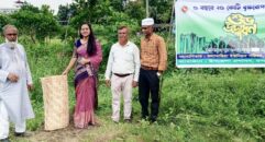 পরিবেশ বান্ধব, বৃক্ষ রোপণের বিকল্প নেই : ইউএনও শিবানী সরকার