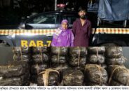চৌদ্দগ্রামে গাঁজাসহ দুই মাদক ব্যবসায়ী আটক