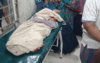 গোপালগঞ্জ কোটালীপাড়া ভিমরুলের কামড়ে  শিশুর মৃত্যু
