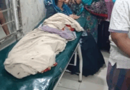 গোপালগঞ্জ কোটালীপাড়া ভিমরুলের কামড়ে  শিশুর মৃত্যু
