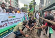 নয়া পল্টনে স্বেচ্ছাসেবক দলের বৃক্ষরোপণ কর্মসূচি