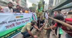 নয়া পল্টনে স্বেচ্ছাসেবক দলের বৃক্ষরোপণ কর্মসূচি