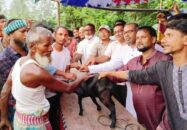 সেনগ্রাম মাঝাকুটি মাঠে পাতা খেলা, উৎসবের আমেজে মাতল নানা বয়সী মানুষ