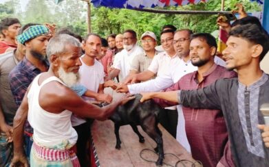 সেনগ্রাম মাঝাকুটি মাঠে পাতা খেলা, উৎসবের আমেজে মাতল নানা বয়সী মানুষ