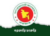বৈশাখী ভাতা নিয়ে বড় দুঃসংবাদ পেল সরকারি চাকরিজীবীরা