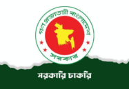 বৈশাখী ভাতা নিয়ে বড় দুঃসংবাদ পেল সরকারি চাকরিজীবীরা