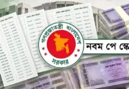 নতুন পে-স্কেল ও বর্তমান বাজার: এক পরিবারেই যেন দুই ভিন্ন পৃথিবী